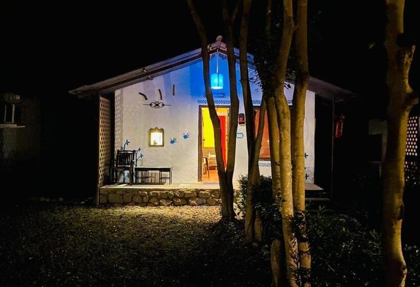 스탠다드 룸, Mahaseer Eco Village & Resort