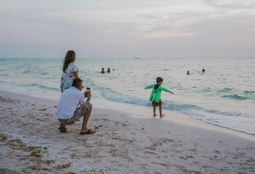 اتاق خانوادگی, Tótem Beach Club
