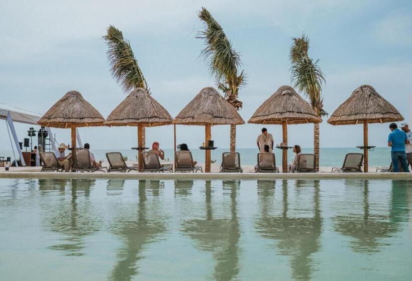 اتاق لوکس با چشم‌انداز دریا, Tótem Beach Club