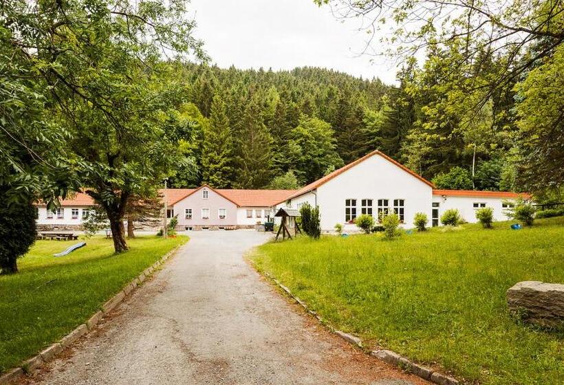 Номер Стандарт Индивидуальный, Ferienpark Thüringer Wald