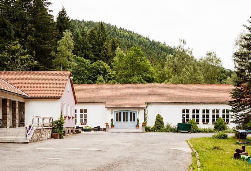 Бунгало Стандарт, Ferienpark Thüringer Wald
