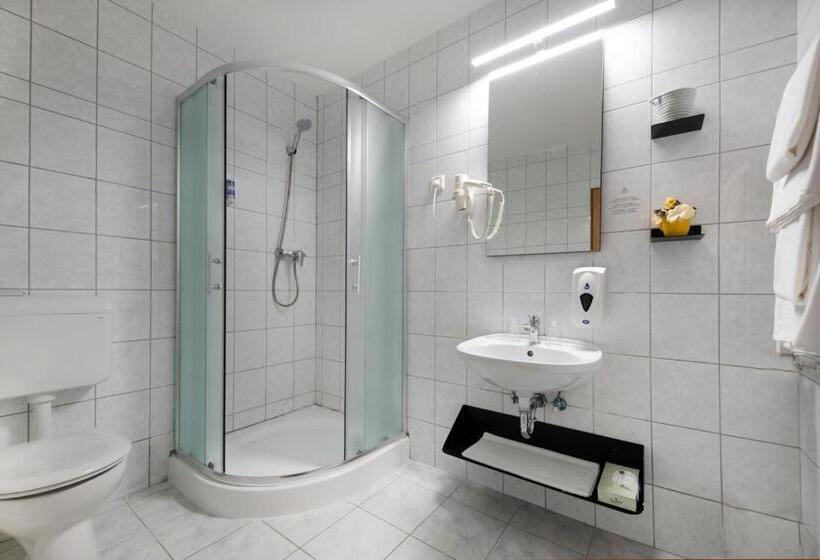 اتاق استاندارد, Zsóry Liget Hotel & Spa Superior