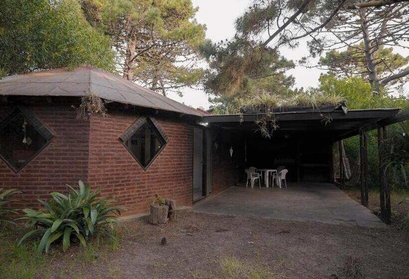 Bahçe Manzaralı 1 Yatak Odalı Daire, Kimba Bosque
