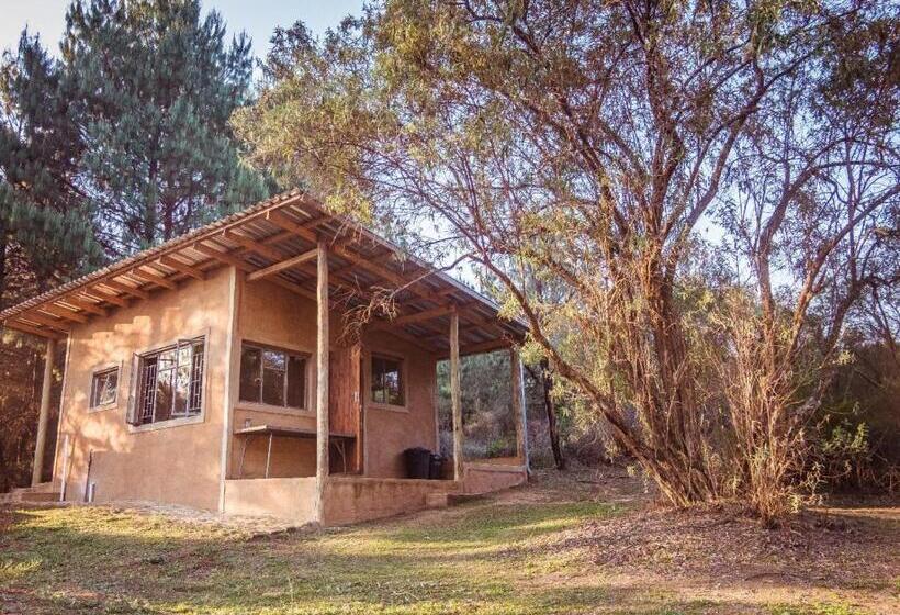 Standard Tent, Zwakala River Retreat