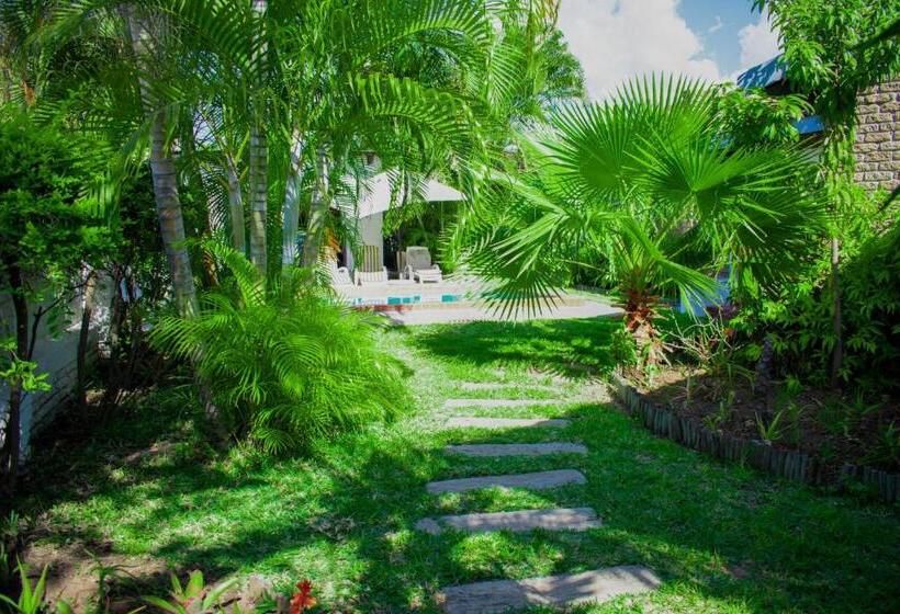 Номер Стандарт, Tengo Guest House Lulekani