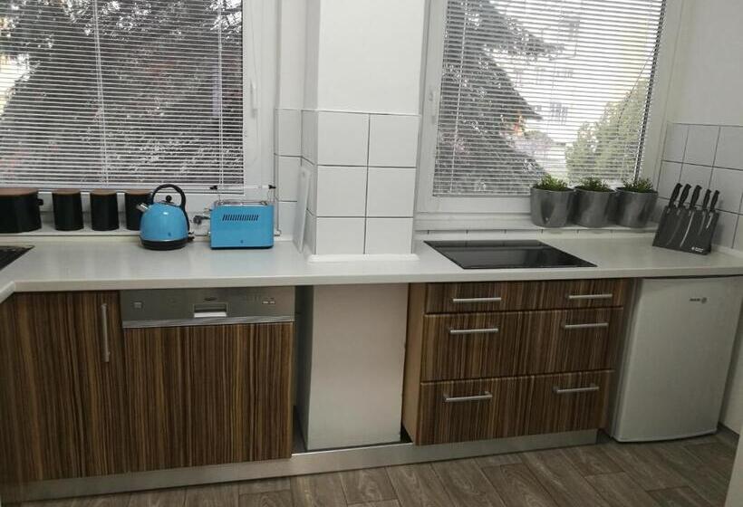 Апартаменты 1 Спальня Нижний Этаж, Modrý Apartmán A5 V Chomutově