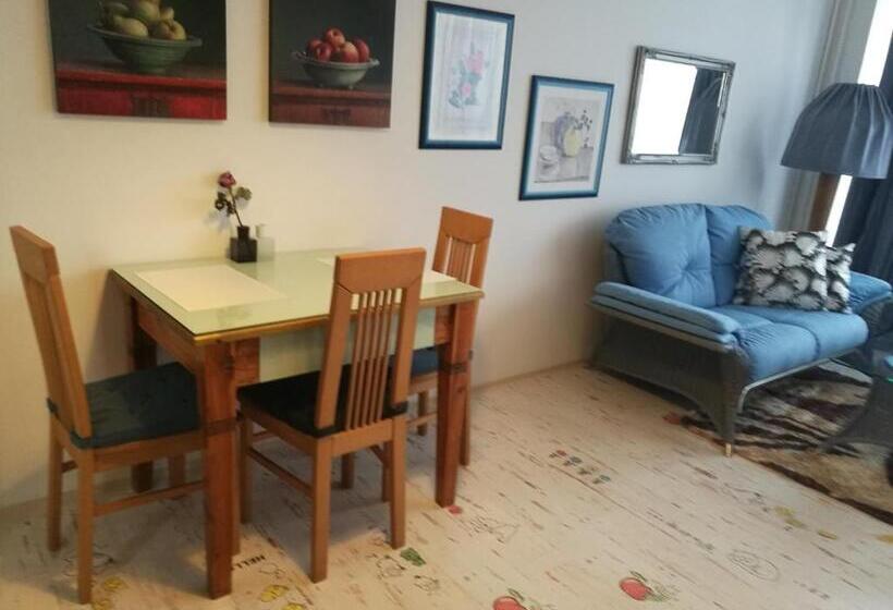 Апартаменты 1 Спальня Нижний Этаж, Modrý Apartmán A5 V Chomutově