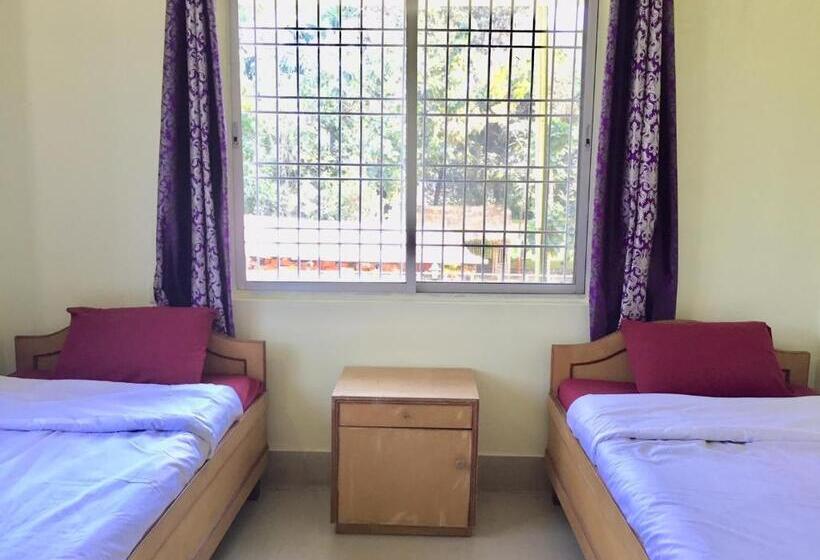 اتاق لوکس, Sachi Home
