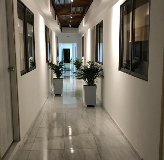 Номер Стандарт, Casa Encanto Manga