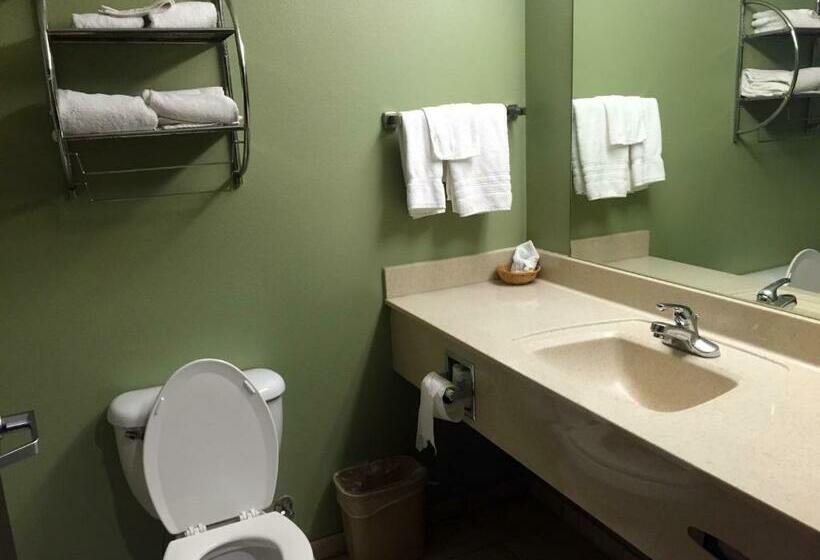 Номер Стандарт, Scottish Inns Killeen Near Fort Cavazos
