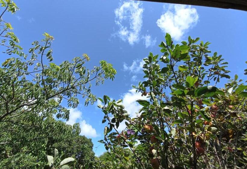 스탠다드 룸, Nature Hostel