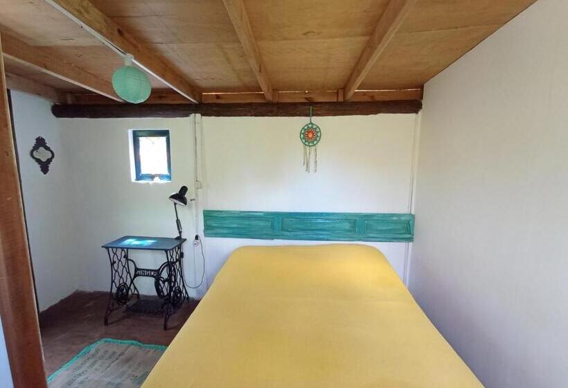 스탠다드 룸, Nature Hostel