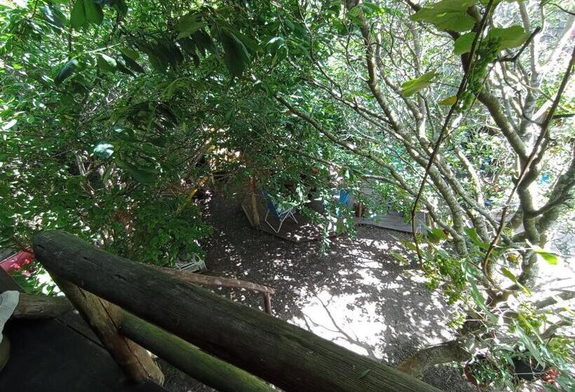 스탠다드 룸, Nature Hostel