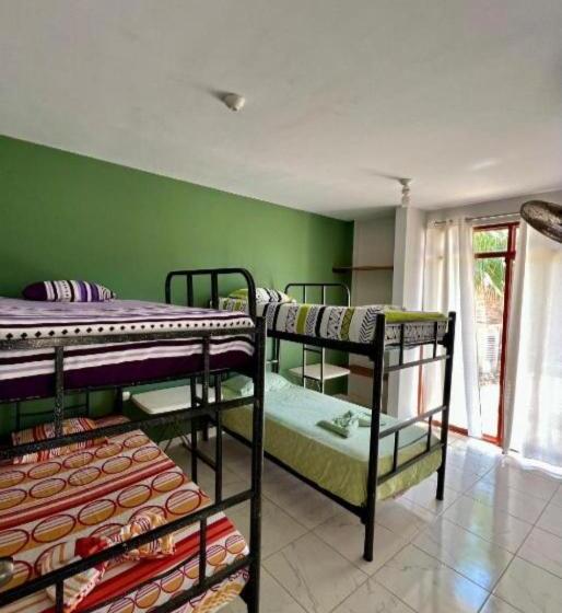 اتاق استاندارد چهار تخته, Pascana Casa Playa