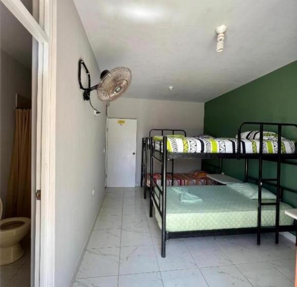 اتاق استاندارد چهار تخته, Pascana Casa Playa