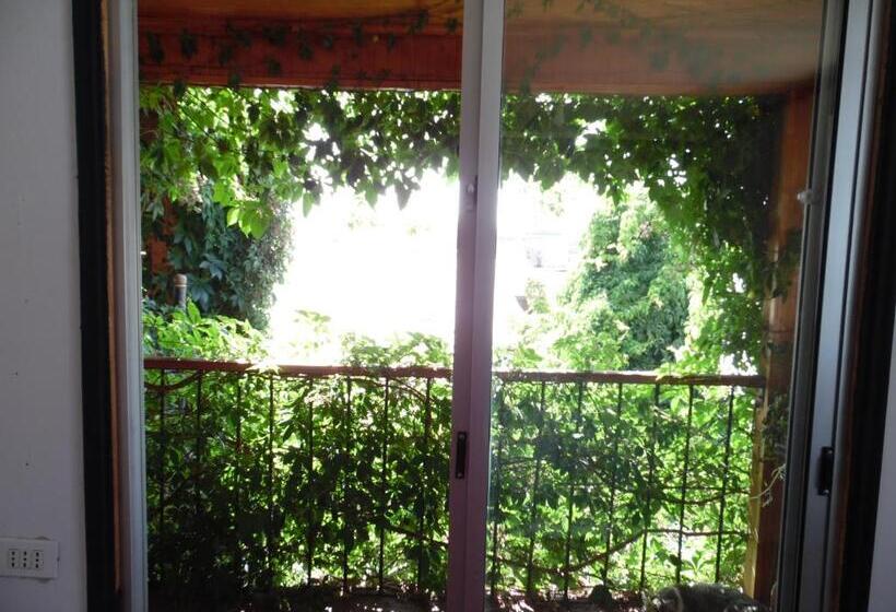 اتاق استاندارد با تراس, Molino Rojo Hostel