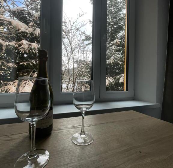 سوییت خانوادگی, Apartmány Svatý Mikuláš