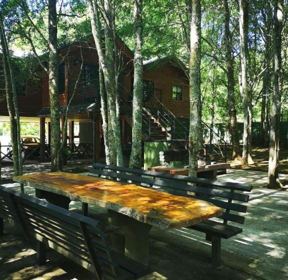 اتاق اکونومی, Hostal Y Cabañas Puerto Pucon
