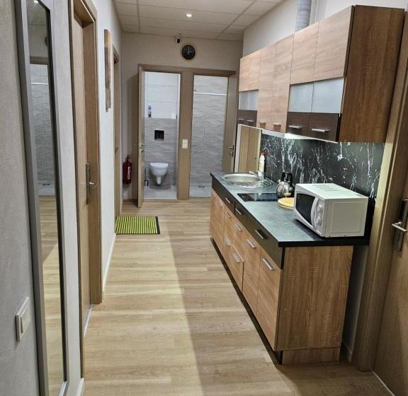 اتاق استاندارد چهار تخته, Kauno Apartamentai Big Room King Size Bed