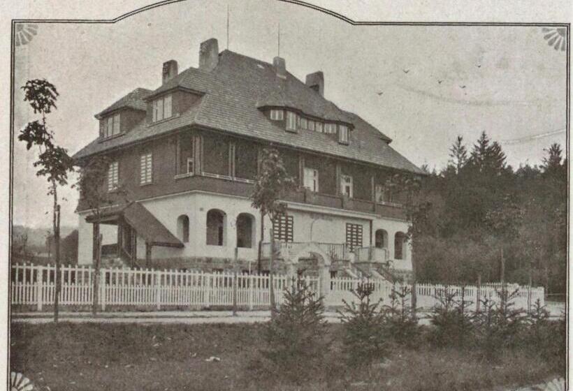 Номер Стандарт, Villa Lessing