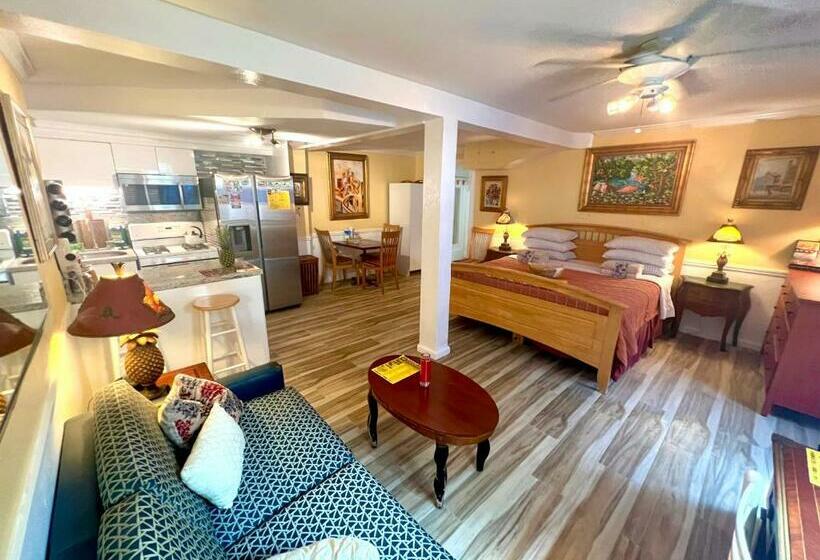 סטודיו סטנדרט, מיטה זוגית, Villa Sinclair Beach Suites And Spa