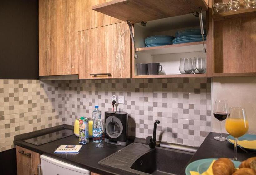 استودیو استاندارد با تخت کینگ, Magellan Family Lux Apartments Novi Sad