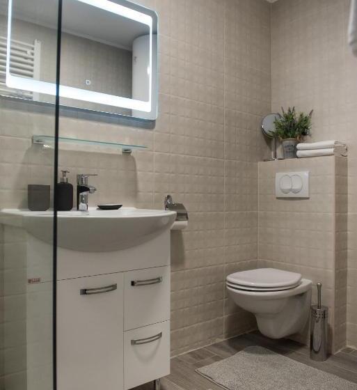 استودیو استاندارد با تخت کینگ, Magellan Family Lux Apartments Novi Sad