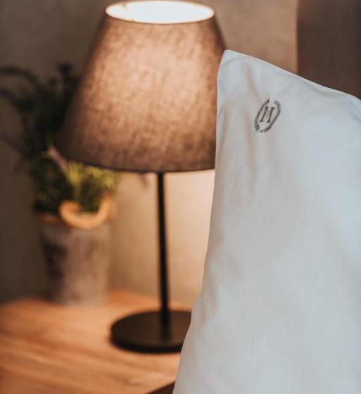 استودیو استاندارد با تخت کینگ, Magellan Family Lux Apartments Novi Sad