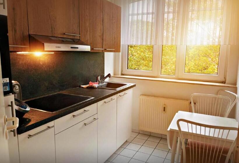 Апартаменты 1 Спальня с Балконом, Appart Haus Business Apartments