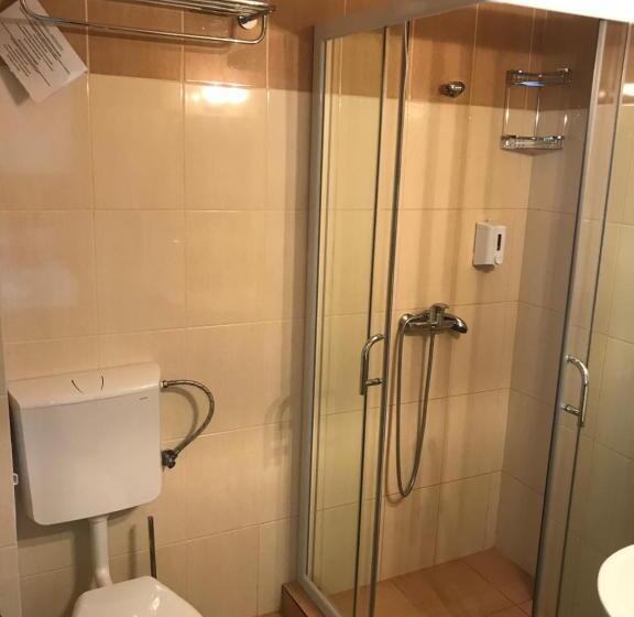 Номер Стандарт Трехместный, Vila Medeea