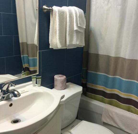 Стандартный Номер Кровать Кинг, Mayflower Motel