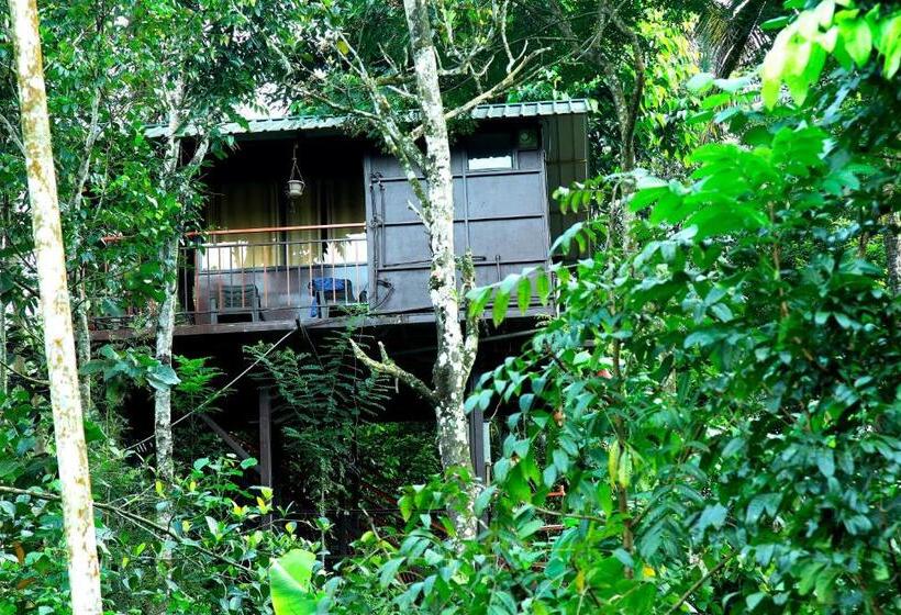Номер Стандарт Вид на Озеро, The Wayside Tree House And Private Villas