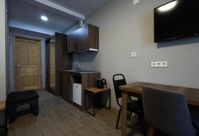 استودیوی استاندارد, Didveli Gallery A205