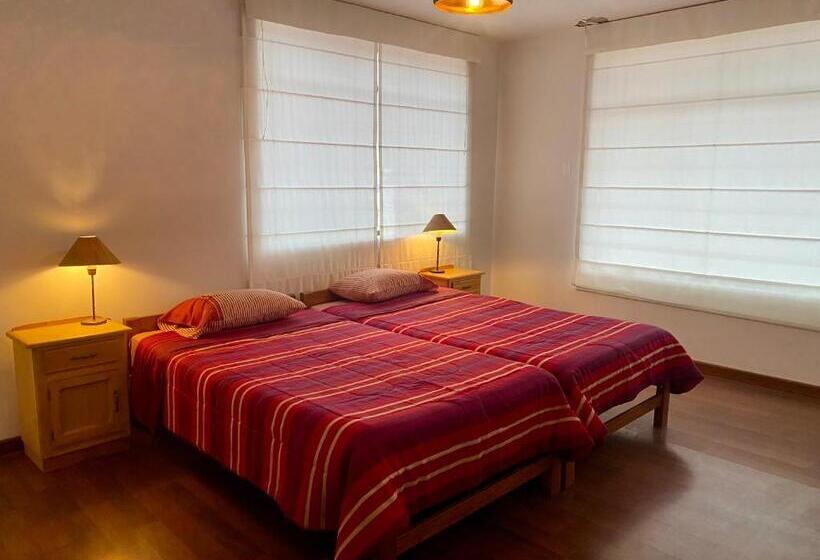 اتاق سوپریور با تخت بزرگ, Amelita Hotel Boutique