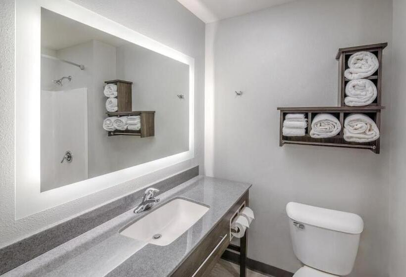 Номер Стандарт, My Place Hotel Grand Rapids Mn