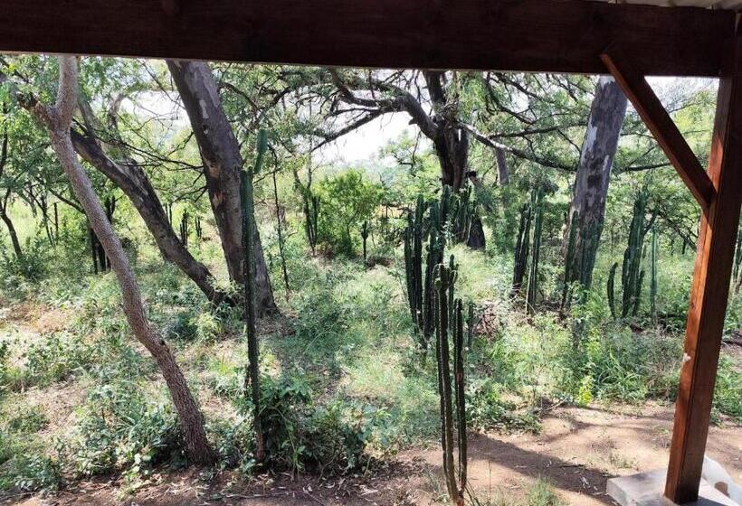 خانه 1 خوابه, Bethesda Mountain Lodge