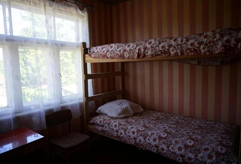 Bed in Shared Room with Shared Bathroom, Pilskalnu Hostelis