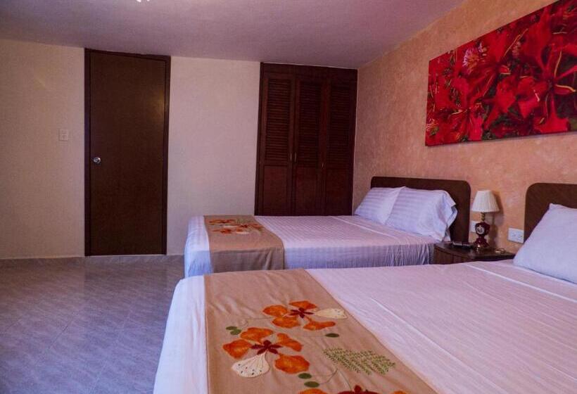 اتاق استاندارد با چشم‌انداز استخر, Casa Flores Y Gemas