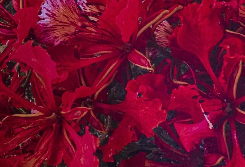 اتاق استاندارد با چشم‌انداز استخر, Casa Flores Y Gemas