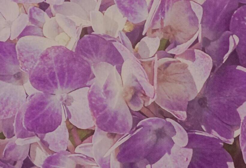 اتاق استاندارد سه تخته با چشم‌انداز استخر, Casa Flores Y Gemas