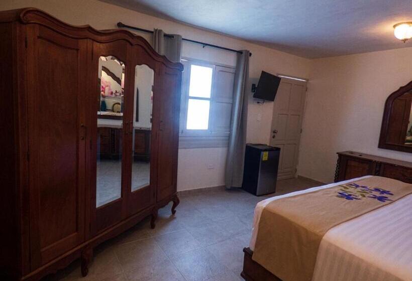 اتاق استاندارد با تخت بزرگ, Casa Flores Y Gemas