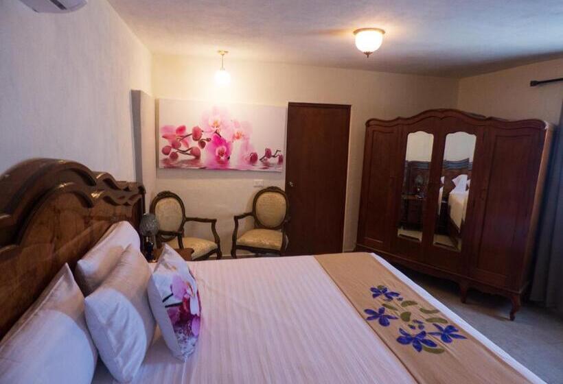 اتاق استاندارد با تخت بزرگ, Casa Flores Y Gemas