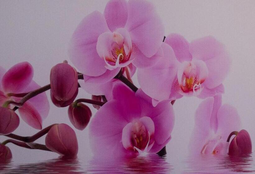 اتاق استاندارد با تخت بزرگ, Casa Flores Y Gemas