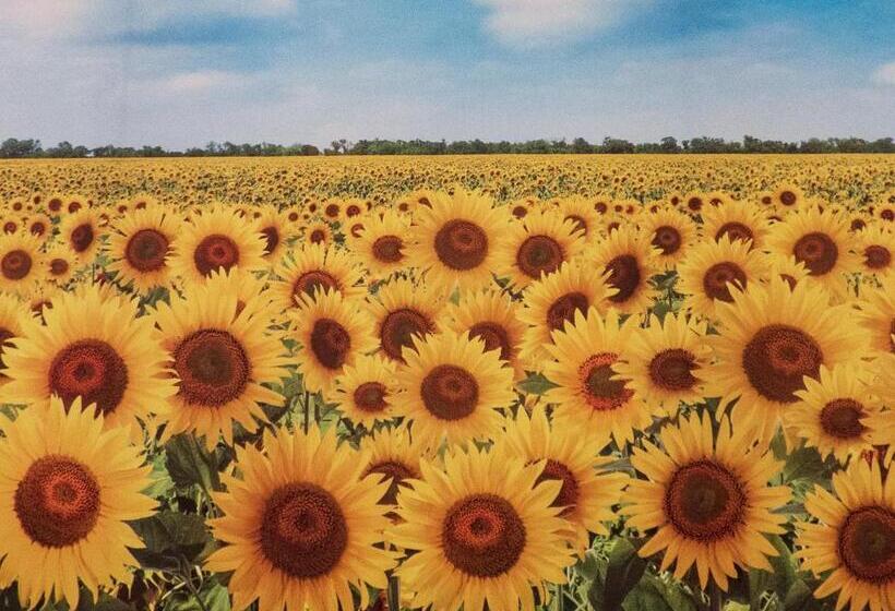 اتاق استاندارد با 2 تخت دوبل, Casa Flores Y Gemas
