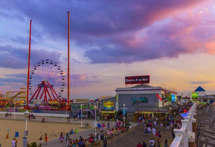 آپارتمان 3 خوابه, Mayfair Beach 503