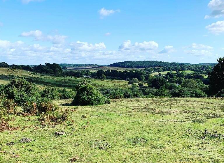 اتاق لوکس, Belle Vue Farm B&b