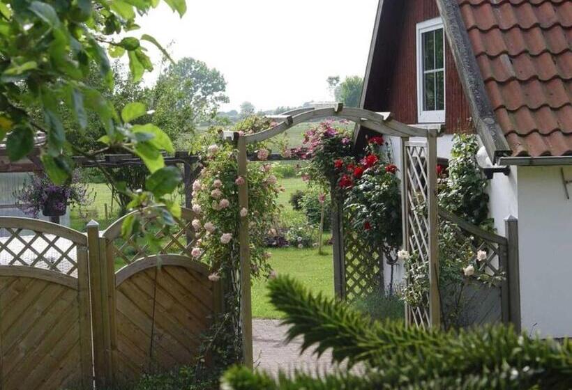 Апартаменты 1 Спальня Нижний Этаж, Ferienhof Jens Ferienwohnung 8 Kronsgaard