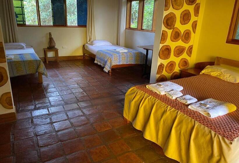 اتاق استاندارد سه نفره, Casa Hospedaje Sangapilla