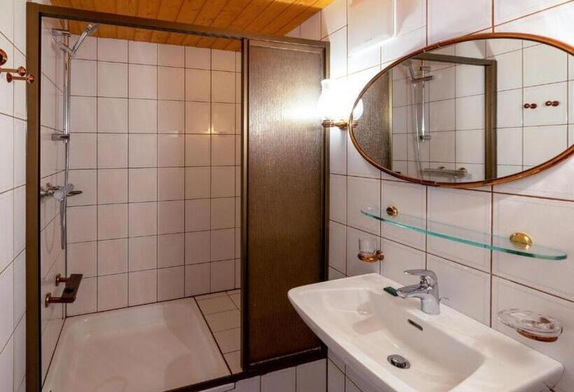 آپارتمان 2 خوابه, Alpinechalet Zigjam