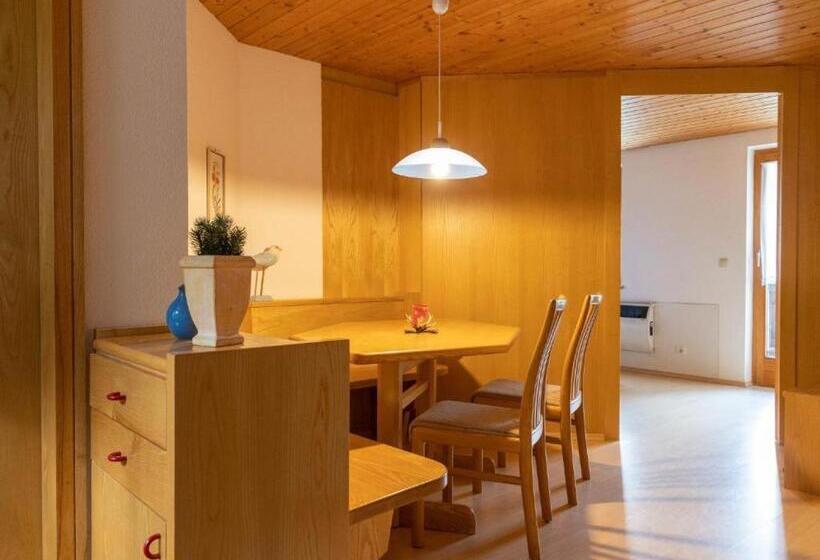 آپارتمان 2 خوابه, Alpinechalet Zigjam